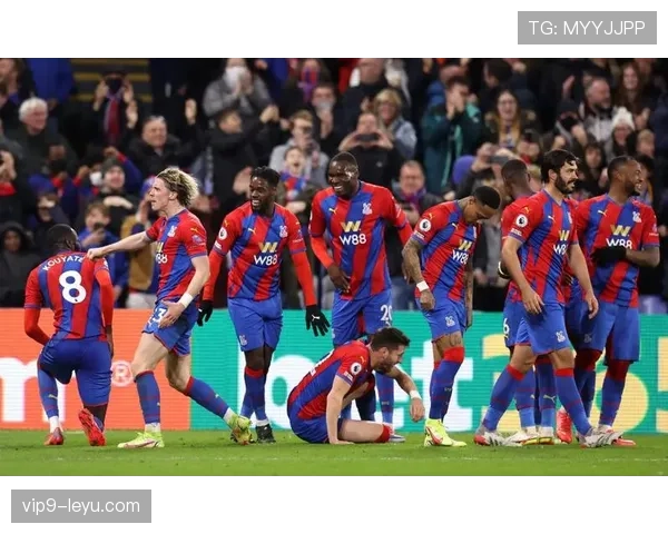 水晶宫迎新帅上任，誓言重振球队英超竞争力