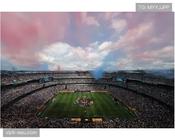 法国球迷热情高涨，世界杯预选赛现场激情四射