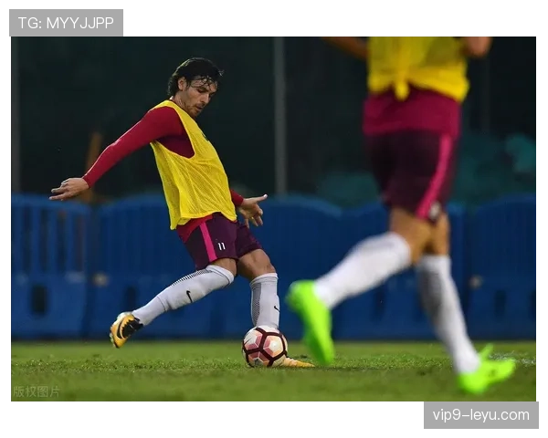 秘鲁队防守稳固，新赛季抗压能力亮眼引关注