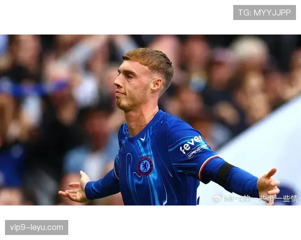 帕尔默的上限是否受限于战术角色与持续输出能力