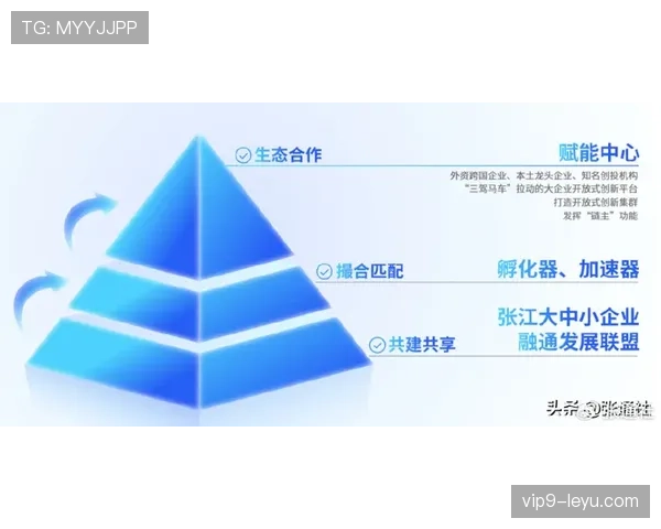 杜埃战术适配性与成长潜力分析